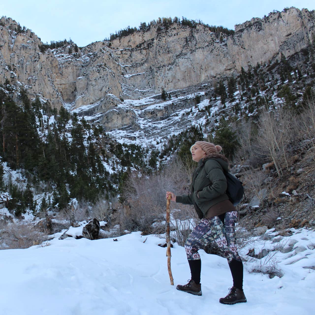 Fletcher View Camping The Dyrt