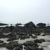 Review photo of Harris Beach State Park Campground by Julie D., July 23, 2018