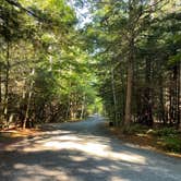 Review photo of Quechee State Park Campground by Chris A., August 12, 2022