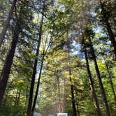 Review photo of Quechee State Park Campground by Chris A., August 12, 2022