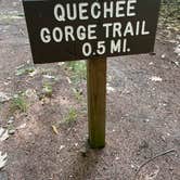 Review photo of Quechee State Park Campground by Chris A., August 12, 2022