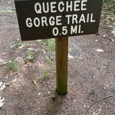 Review photo of Quechee State Park by Chris A., August 12, 2022