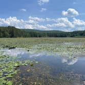 Review photo of Quechee State Park Campground by Chris A., August 12, 2022