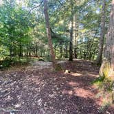 Review photo of Quechee State Park Campground by Chris A., August 12, 2022