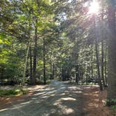 Review photo of Quechee State Park Campground by Chris A., August 12, 2022