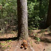 Review photo of Castle Mound Campground — Black River State Forest by Nicole K., August 12, 2022