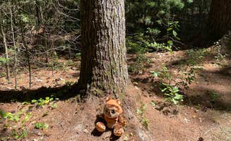 Nicole K.'s photo of camping with pets at Castle Mound Campground — Black River State Forest near Galesville, WI