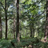 Review photo of Big Bay State Park Campground by Nicole K., August 12, 2022