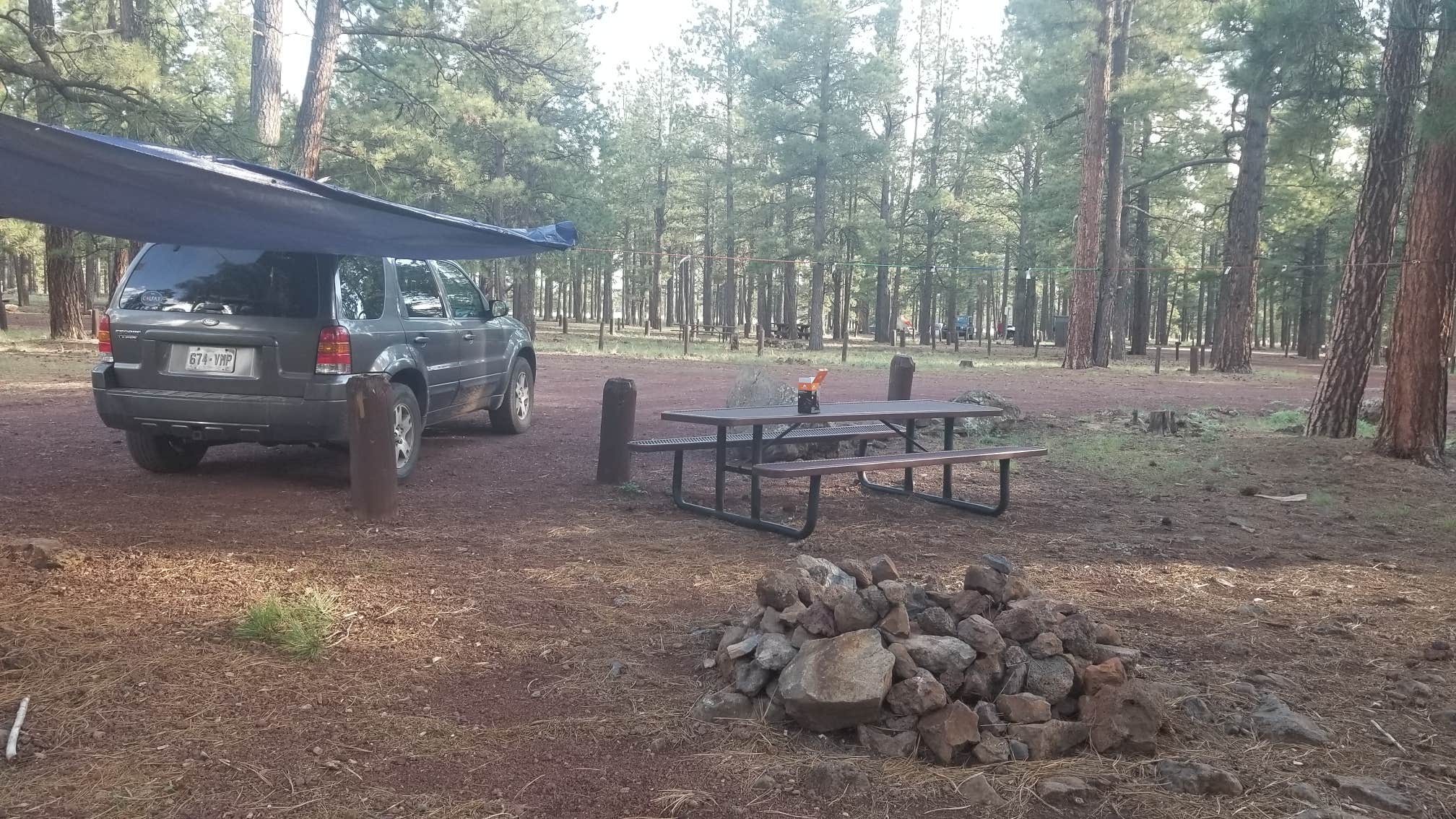 Jacob B.'s photo at Benny Creek Campground near McNary, AZ