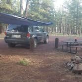 Review photo of Benny Creek Campground by Jacob B., July 23, 2018