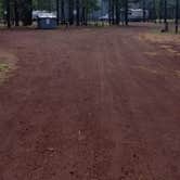 Review photo of Benny Creek Campground by Jacob B., July 23, 2018