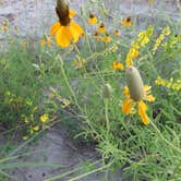 Review photo of Makoshika State Park Campground by MARY K., August 12, 2022