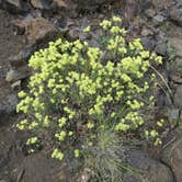 Review photo of Lava Flow Campground — Craters of the Moon National Monument by MARY K., August 12, 2022