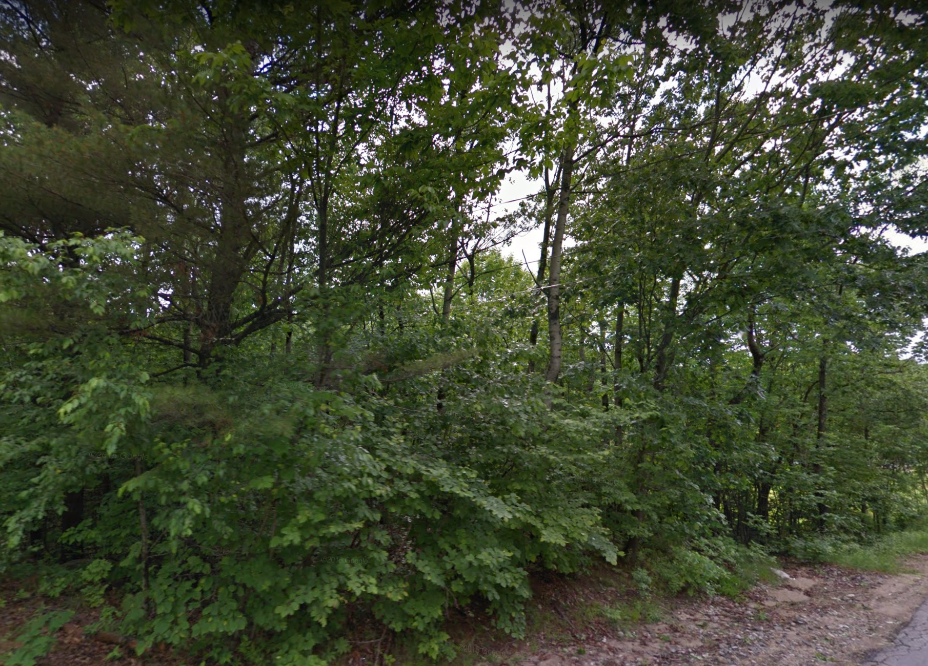 Camper-submitted photo at Webbs Mills Stead near Saco, ME