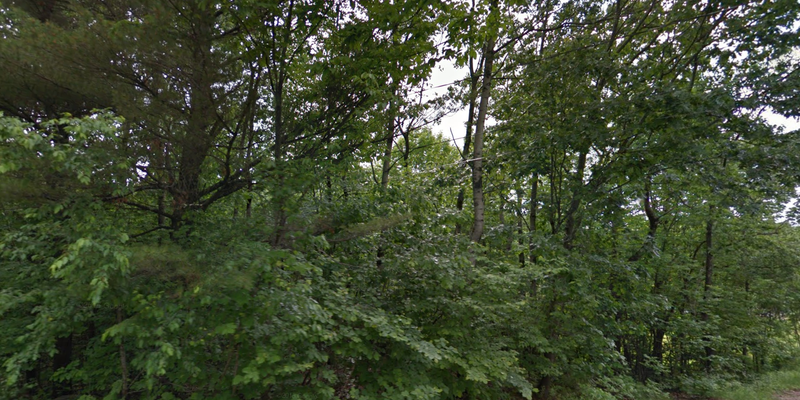 Camper submitted image from Webbs Mills Stead