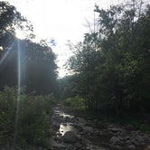 Review photo of Woodland Valley Campground - DEC by Erin G., July 23, 2018
