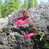 Review photo of Manzanita Lake Campground — Lassen Volcanic National Park by MARY K., August 12, 2022