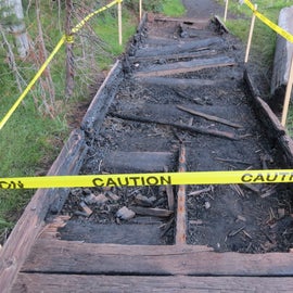 Fire damage from July 2021 on the Summit Lake Trail.