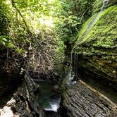 Review photo of Watkins Glen State Park Campground by Erin G., July 23, 2018