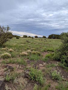 Camper-submitted photo at Desert Falcon Ranch, LLC near St. Johns, AZ