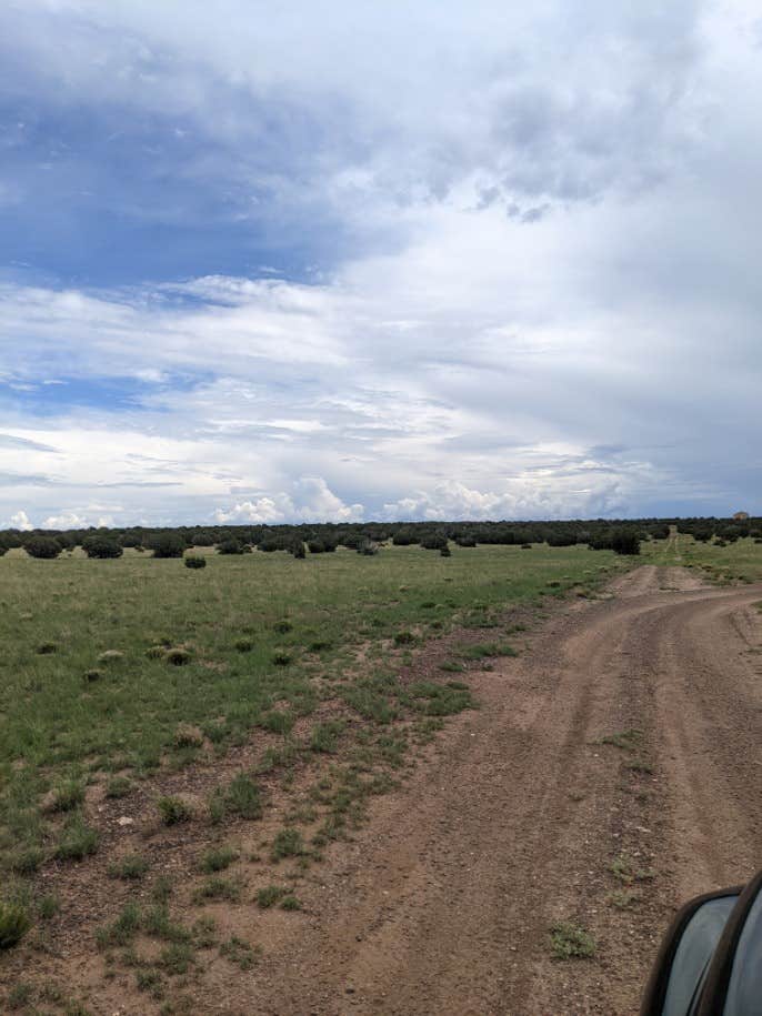 Camper-submitted photo at Desert Falcon Ranch, LLC near St. Johns, AZ
