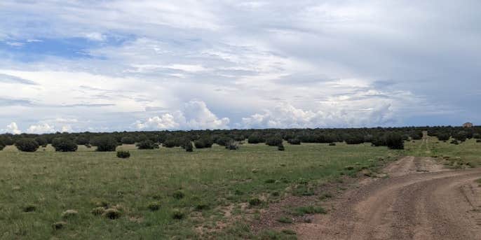 Camper submitted image from Desert Falcon Ranch, LLC