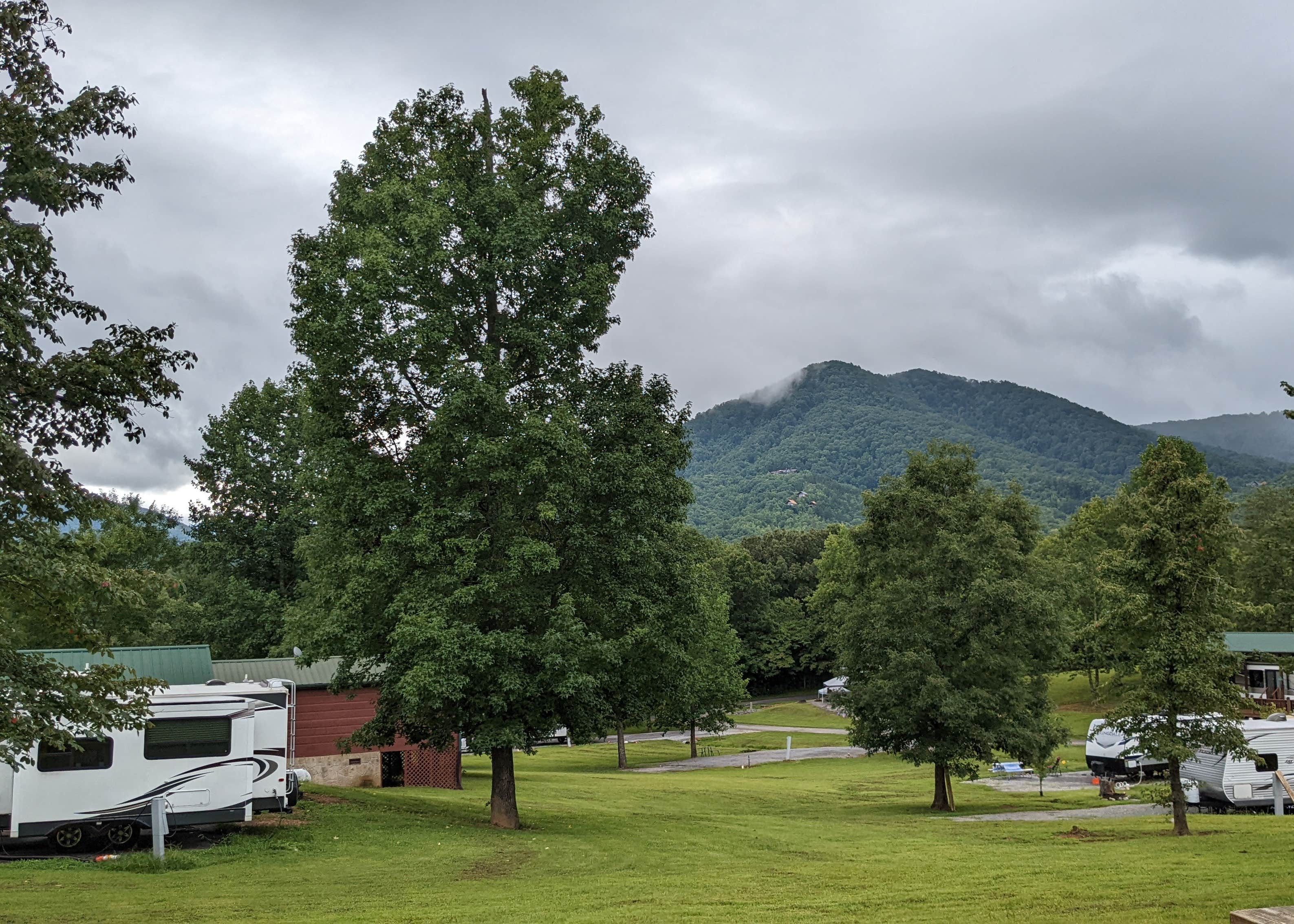 Honeysuckle Meadows Rv Resort Camping 