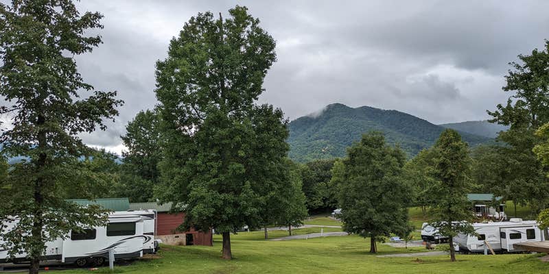 Camper submitted image from Honeysuckle Meadows RV resort