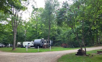 Camping near Wolfkiel Run Shelters — Oil Creek State Park: Higby's Campground & Cottages, Union City, Pennsylvania