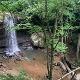 Review photo of Kentuck Campground — Ohiopyle State Park by Scott R., August 13, 2022