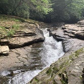 Review photo of Kentuck Campground — Ohiopyle State Park by Scott R., August 13, 2022