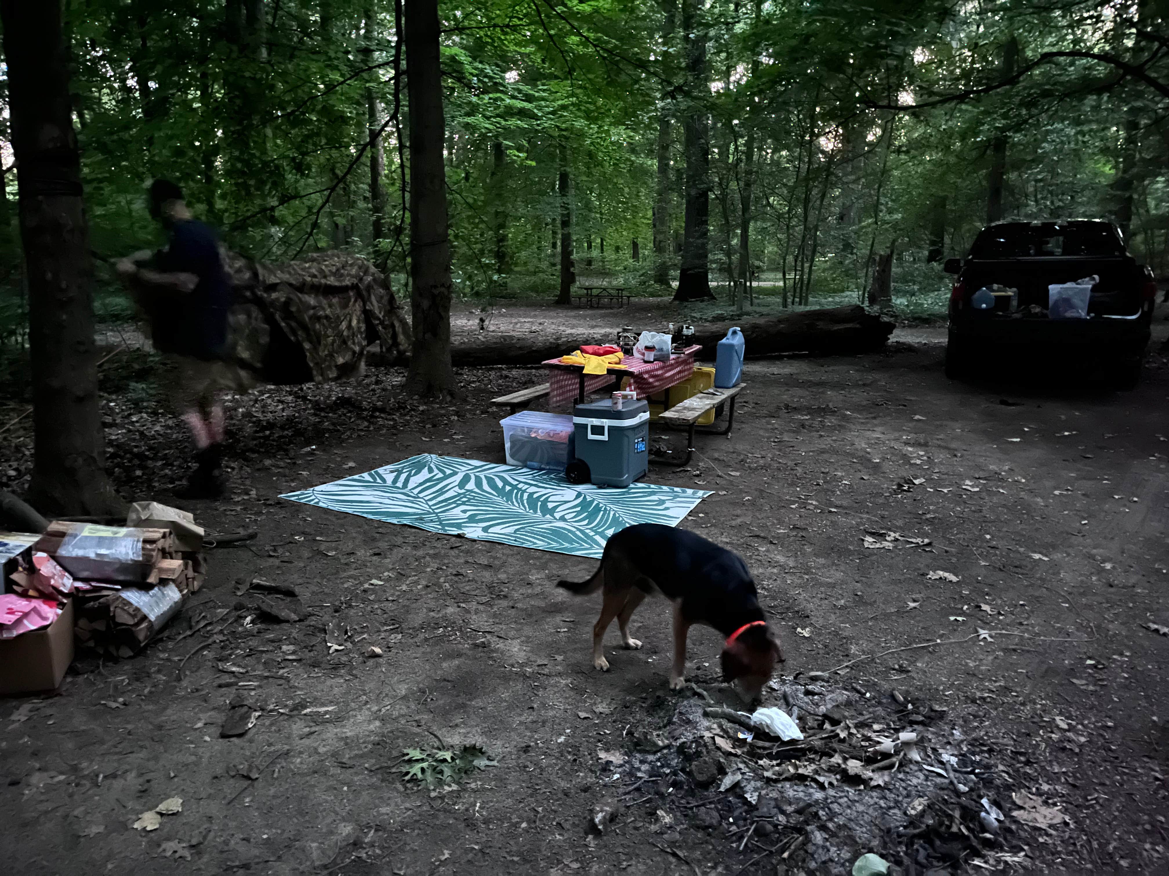 beth S.'s photo of camping with pets at Lansing Cottonwood Campground near Corunna, MI