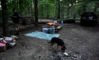 beth S.'s photo of camping with pets at Lansing Cottonwood Campground near Okemos, MI