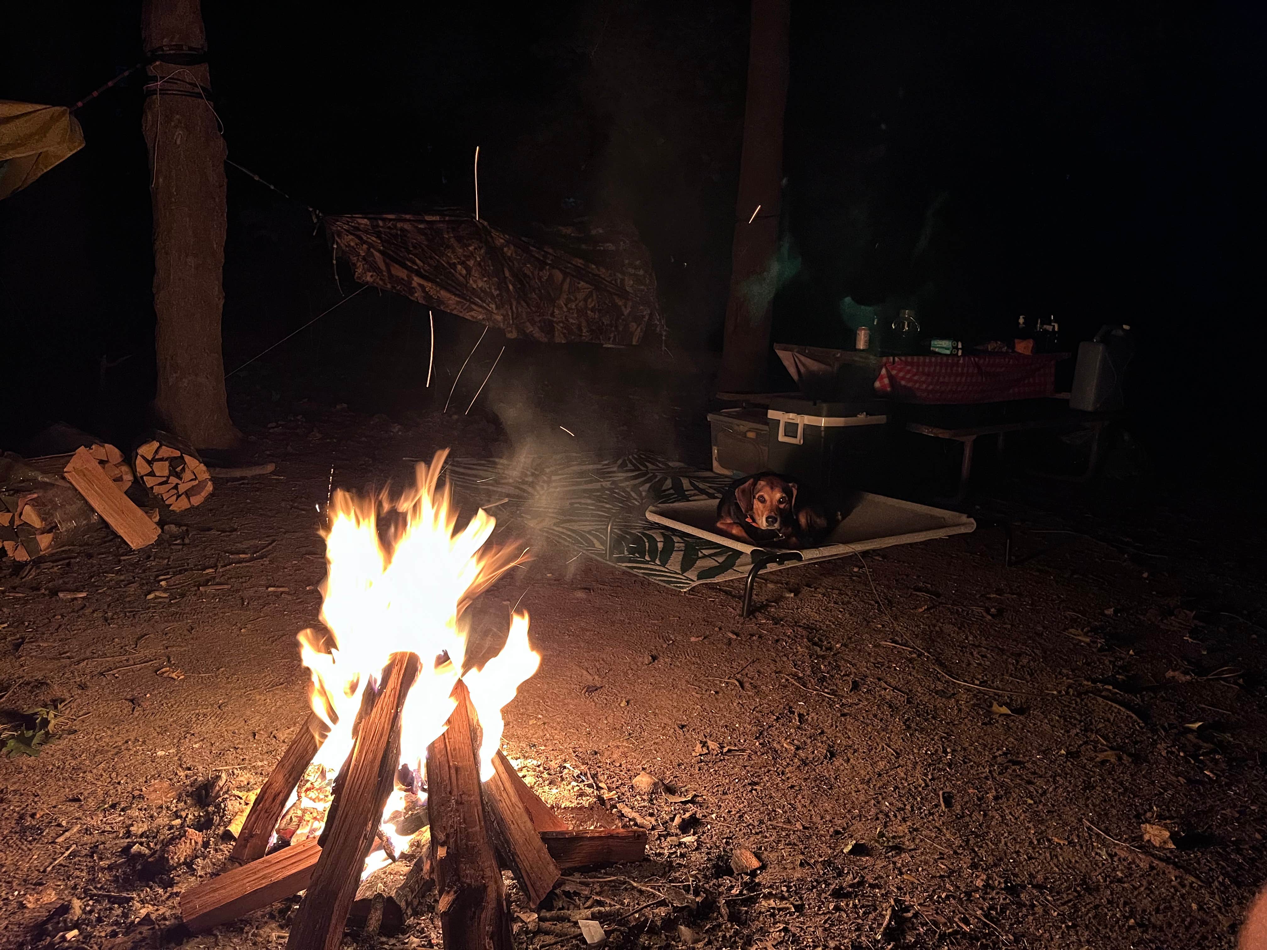 Camper-submitted photo at Lansing Cottonwood Campground near Charlotte, MI