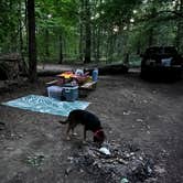 Review photo of Lansing Cottonwood Campground by beth S., August 13, 2022