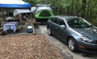Andra S.'s photo at Devils Fork State Park Campground in South Carolina