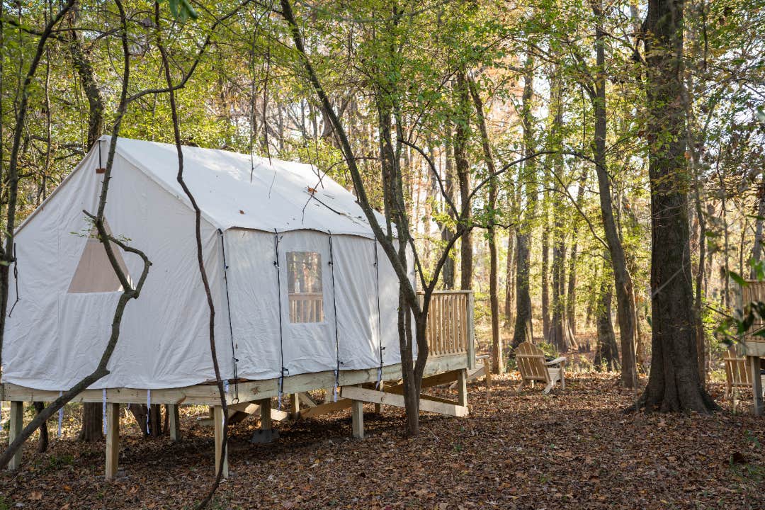 The Dyrt's photo at Tentrr State Park Site - Mississippi LeFleur's Bluff State Park - By the Bayou F - Single Camp near Jackson, MS