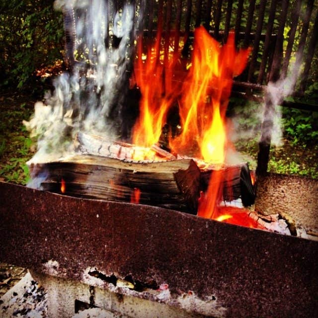 Camper submitted image from Potowatomi Campground — Kankakee River State Park - 5