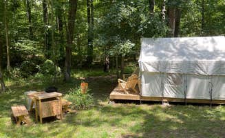 The Dyrt's photo at Tentrr State Park Site - Mississippi Wall Doxey State Park - Trailside B - Single Camp near University, MS