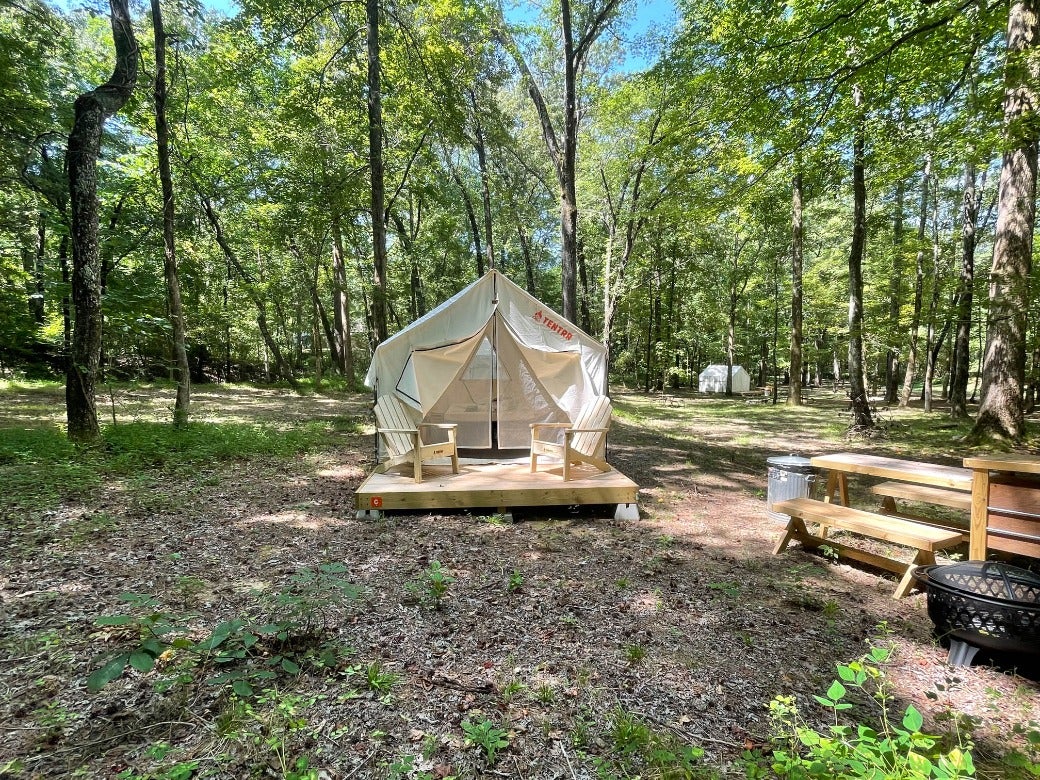 Camper submitted image from Tentrr State Park Site - Mississippi Wall Doxey State Park - Woodland C - Single Camp - 1