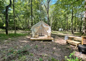 Tentrr State Park Site - Mississippi Wall Doxey State Park - Woodland C - Single Camp
