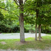 Review photo of Potato Creek State Park Campground by Meg  S., June 16, 2015