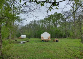 Tentrr State Park Site - Lake Fausse Pointe - Cypress Site A - Single Camp