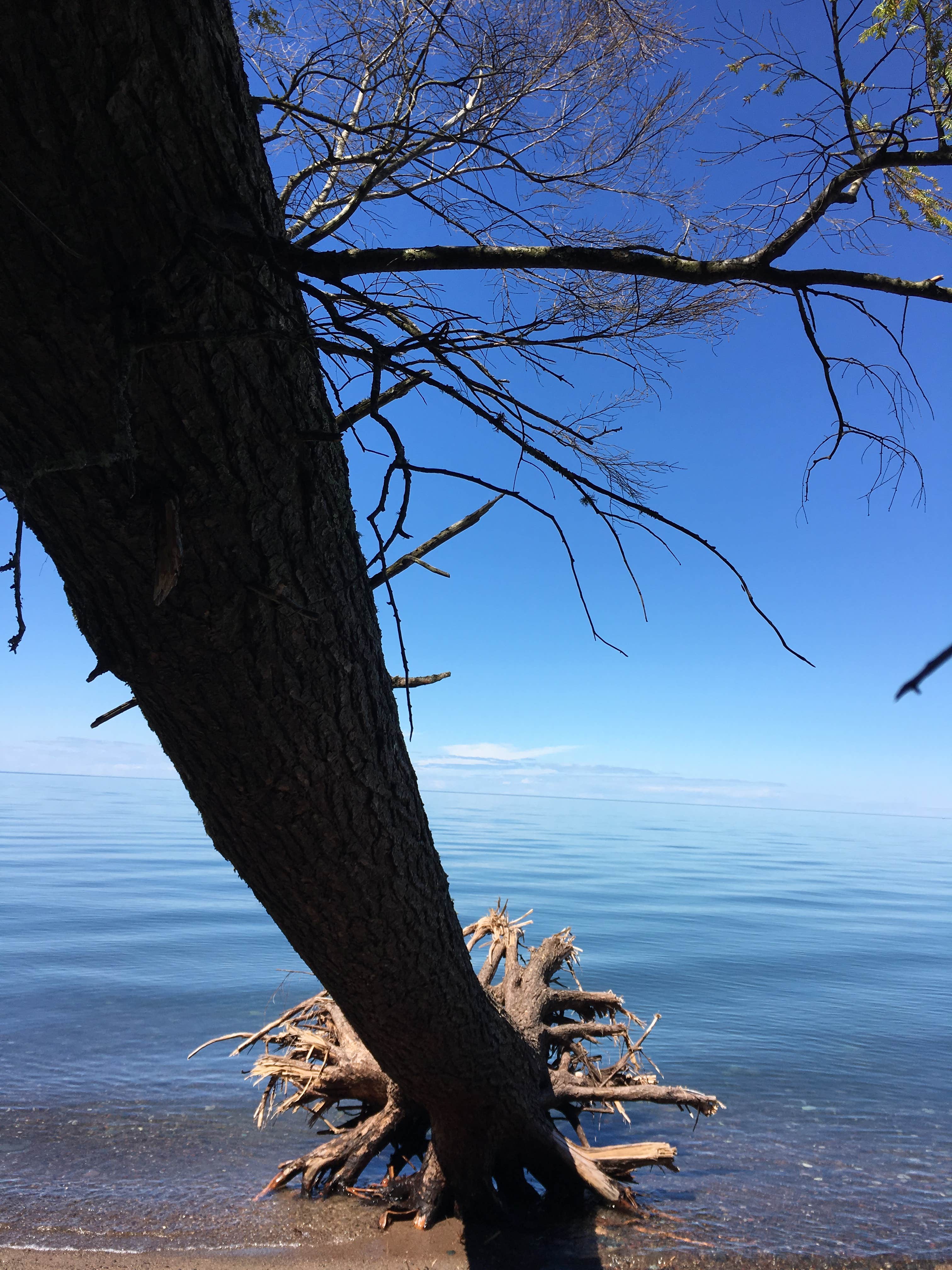 Camper-submitted photo at Little Girl's Point County Park near Upson, WI