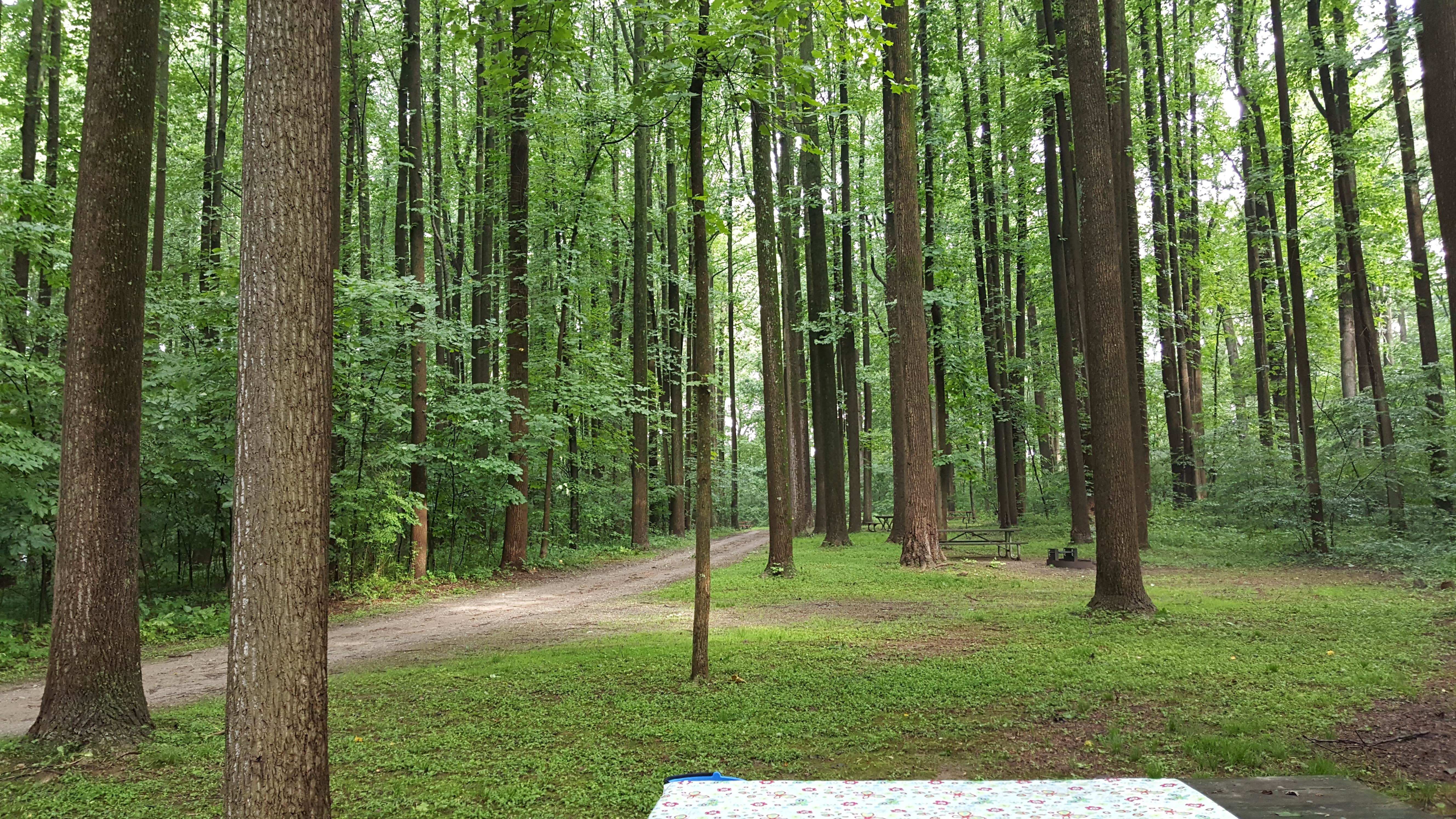 Camper submitted image from Hibernia County Park - 2