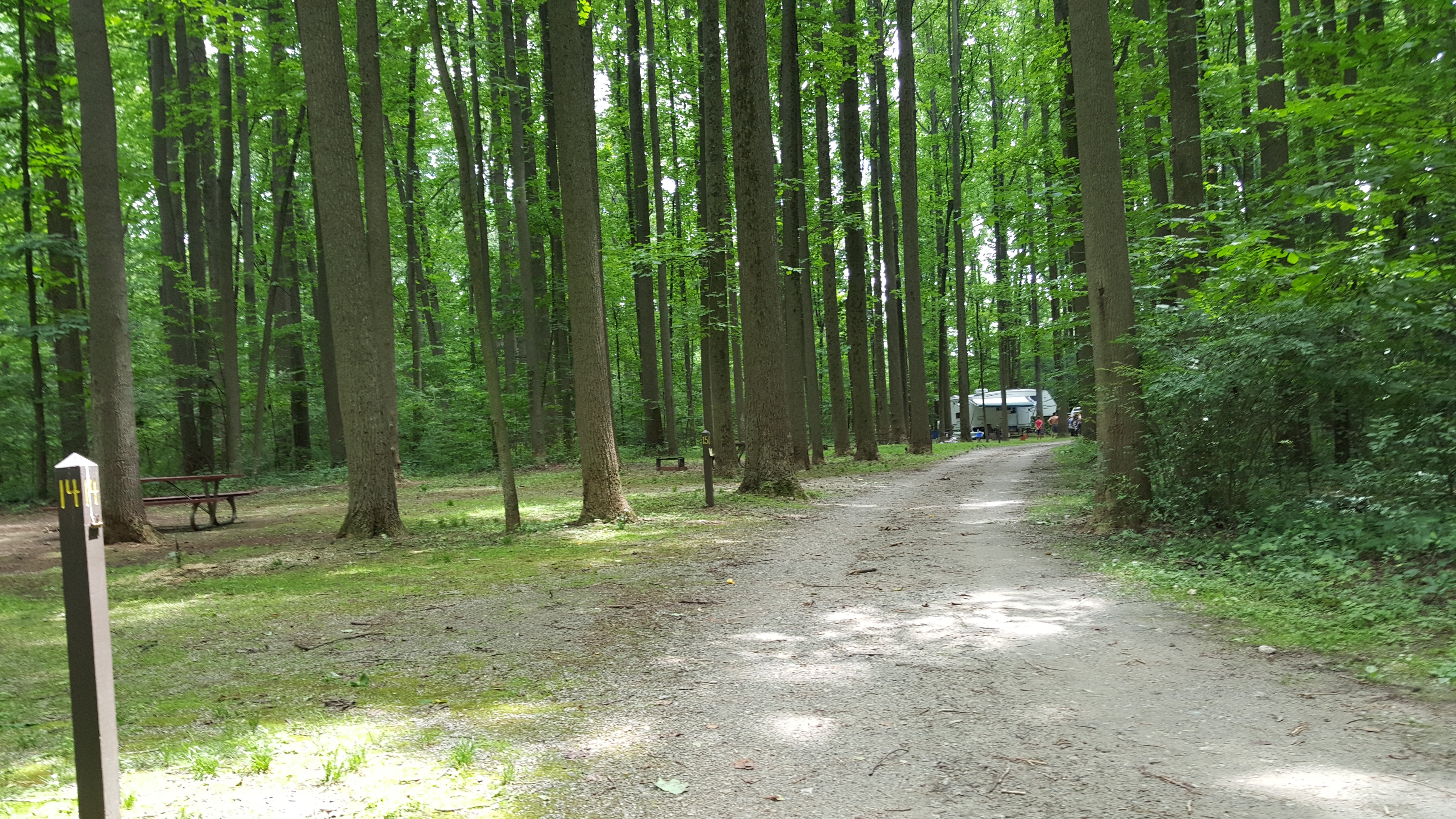 Hibernia County Park Campground, Fiddlers Loop (our camper in site #17)