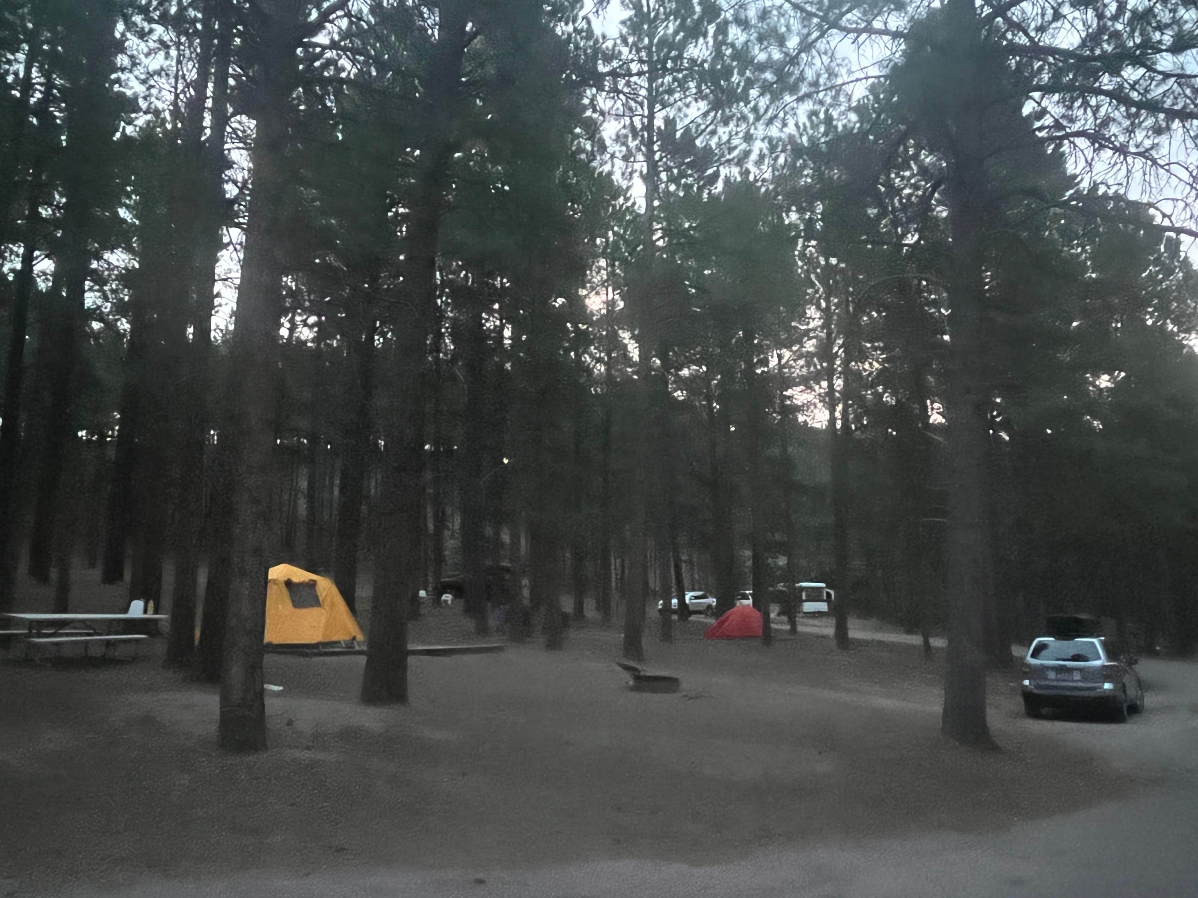 stacy W.'s photo at Center Lake Campground — Custer State Park near Fairburn, SD