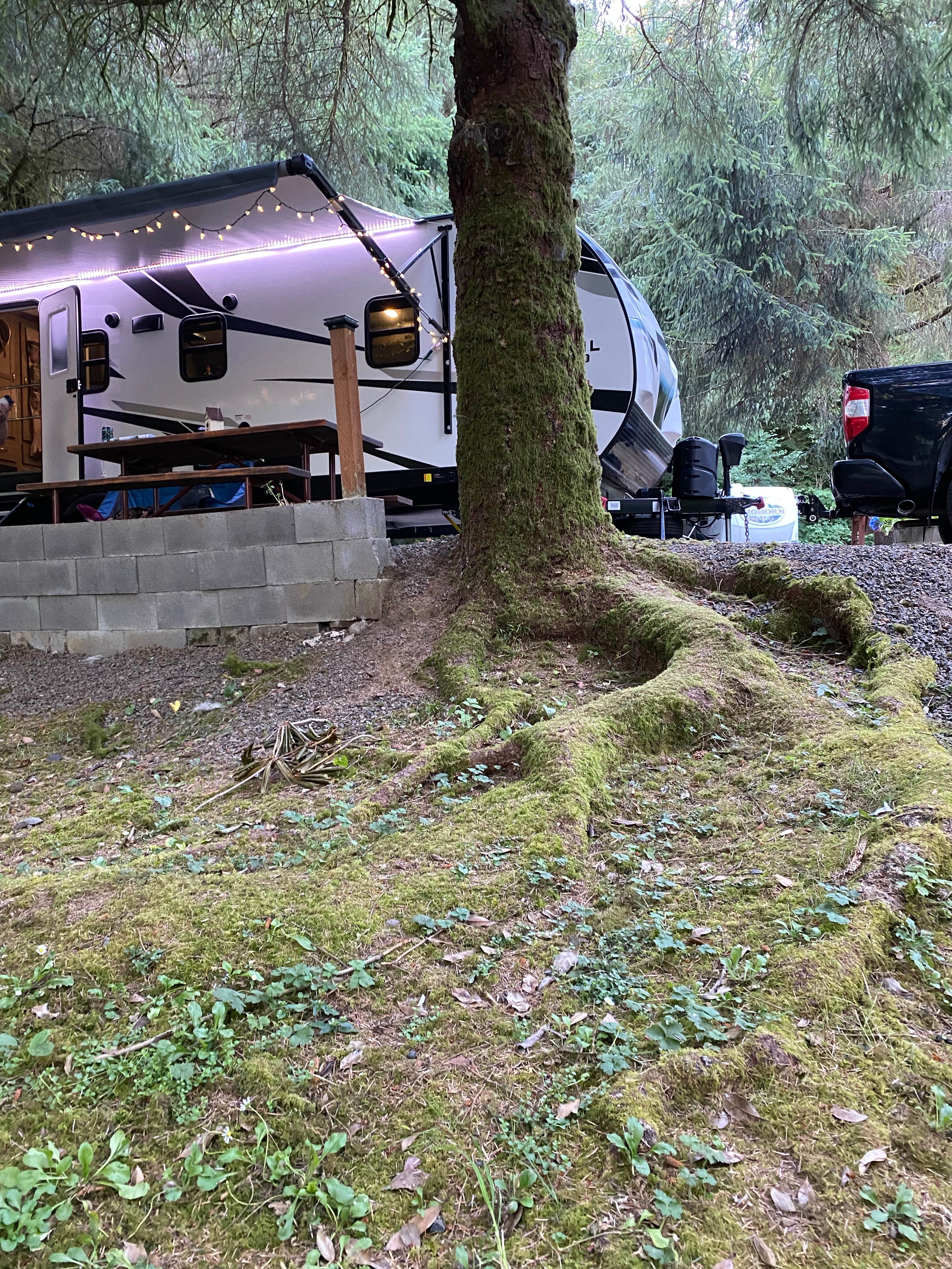 Camper-submitted photo at Camper Cove RV park near Pacific City, OR