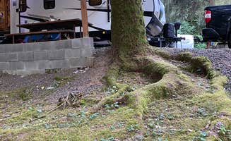 emily's photo at Camper Cove RV park near Pacific City, OR