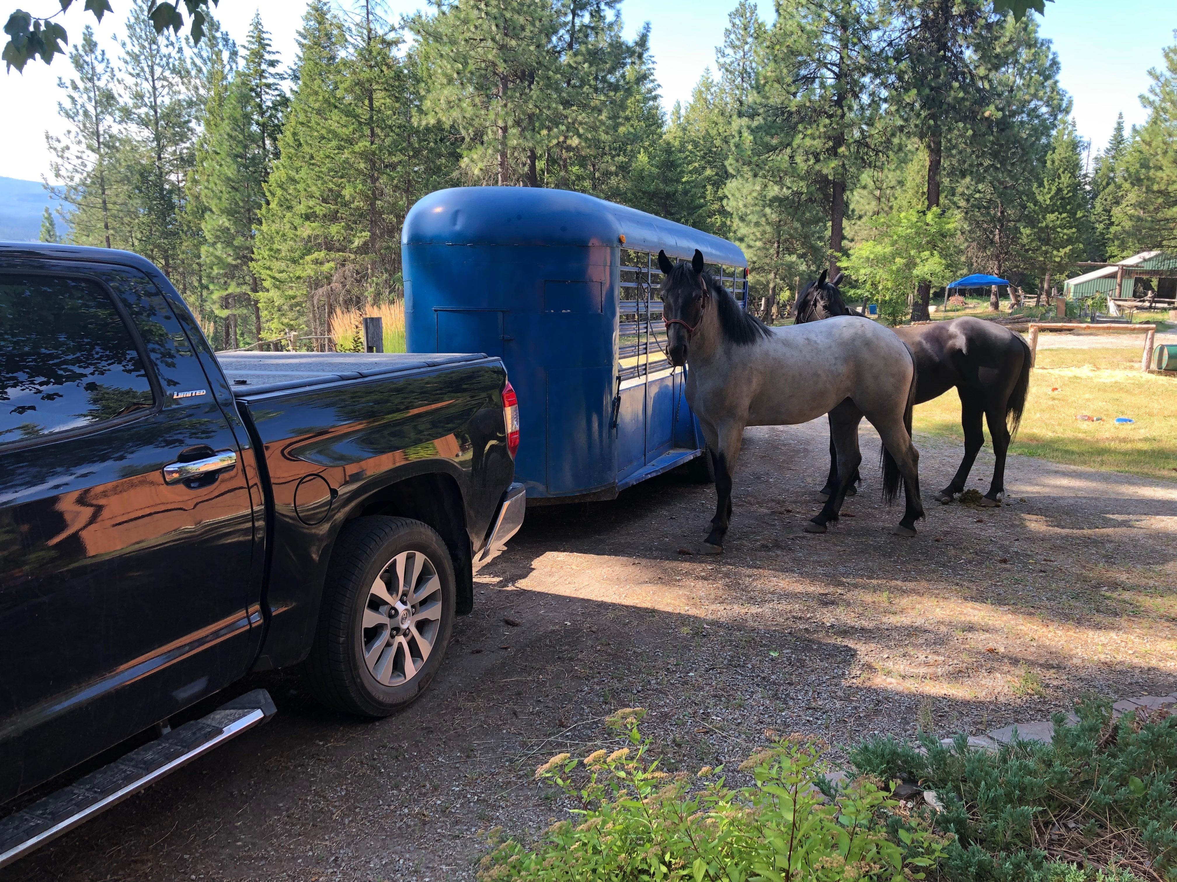 Camper submitted image from Pend Oreille County Park - 1
